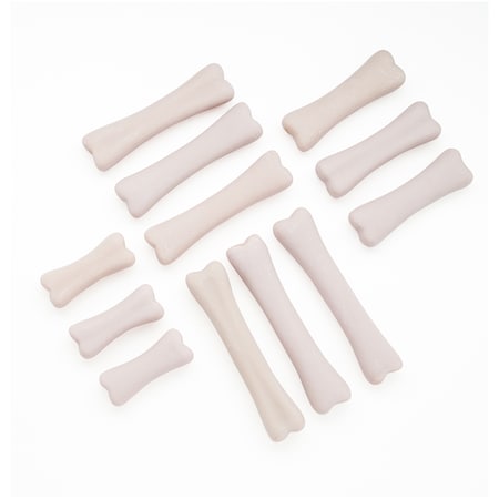 Yellow Door Dinosaur Bones Discovery Set, 12 Pieces 1038